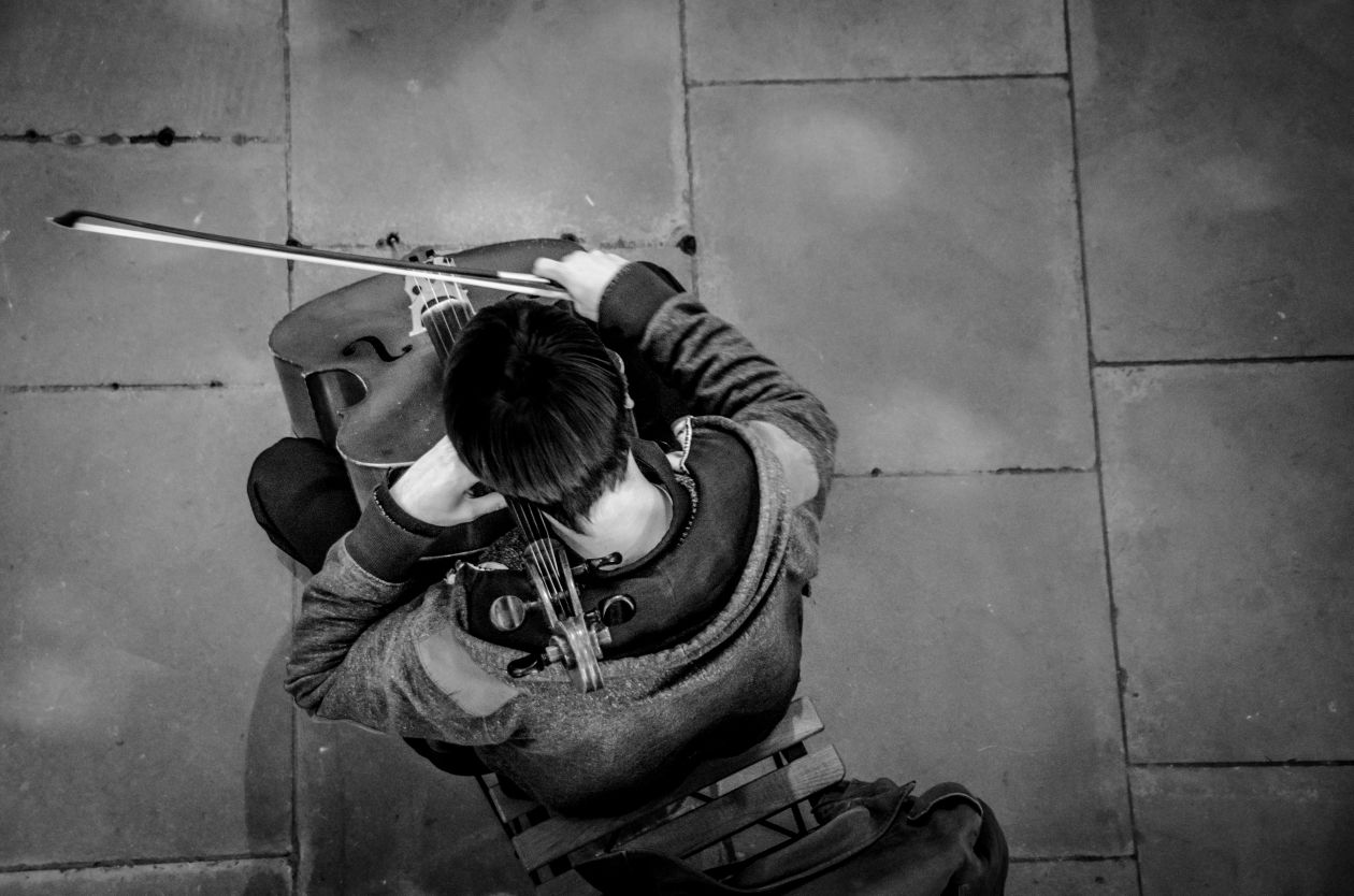 Free photo "Cello player"