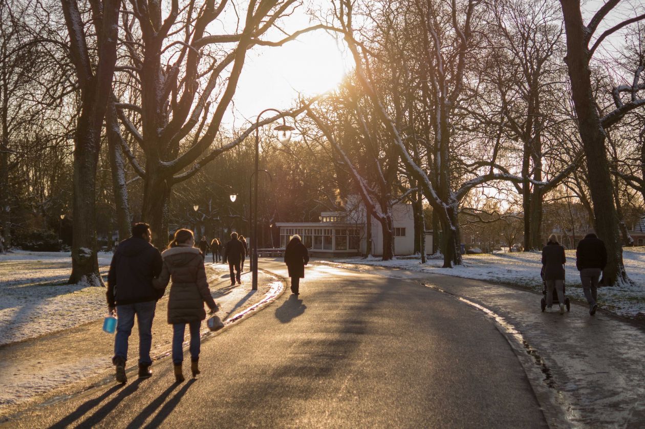 Free photo "Walk in the park"