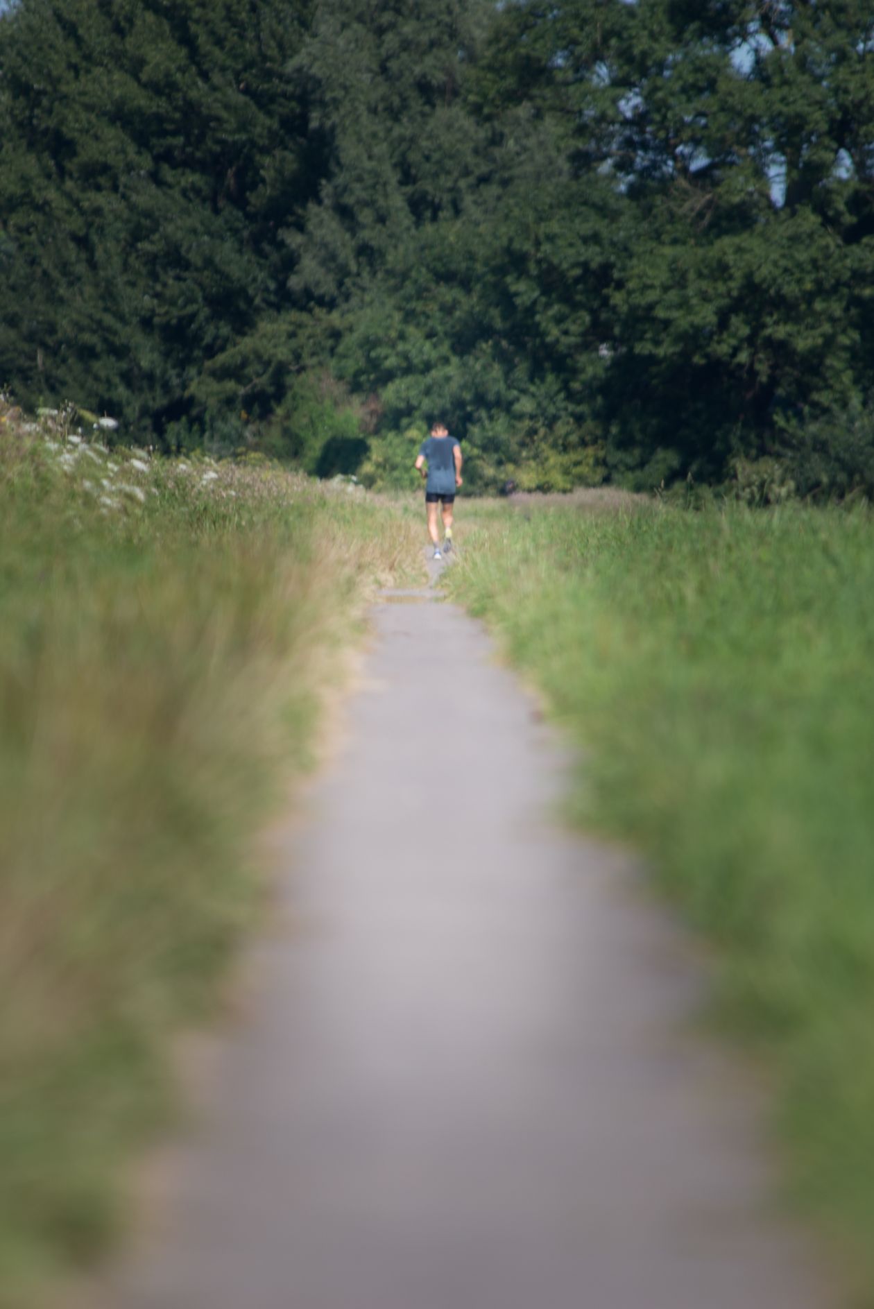 Free photo "Runner"