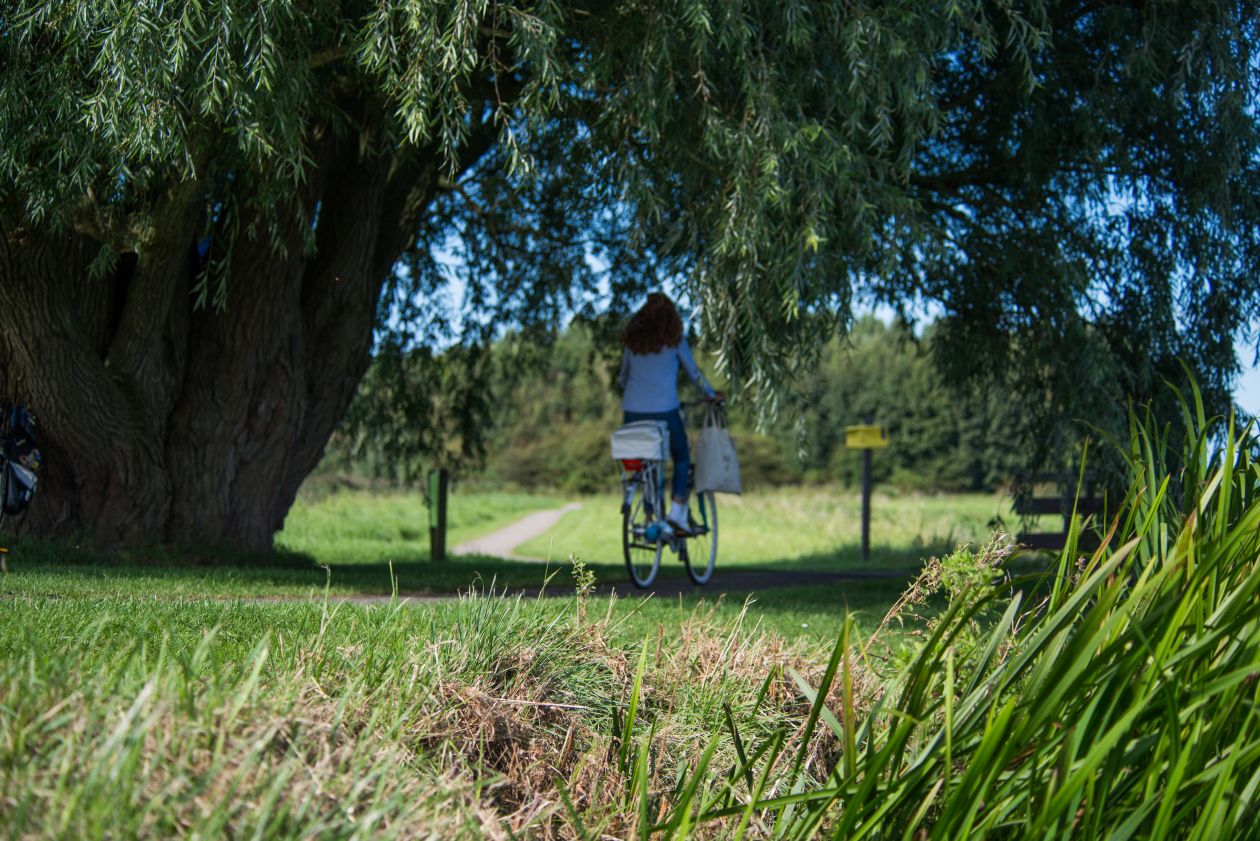 Free photo "Girl and her bike"