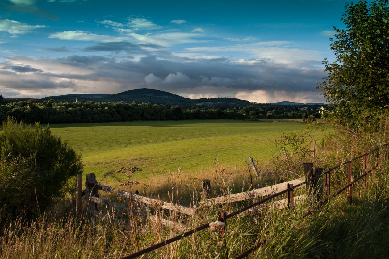 Free photo "Pasture" by Dave Robinson