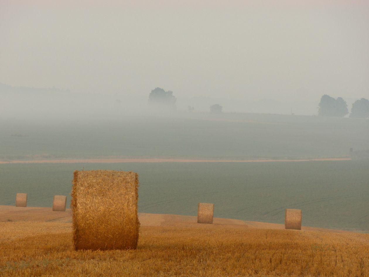 Free photo "Hay" by Michal Kubicek