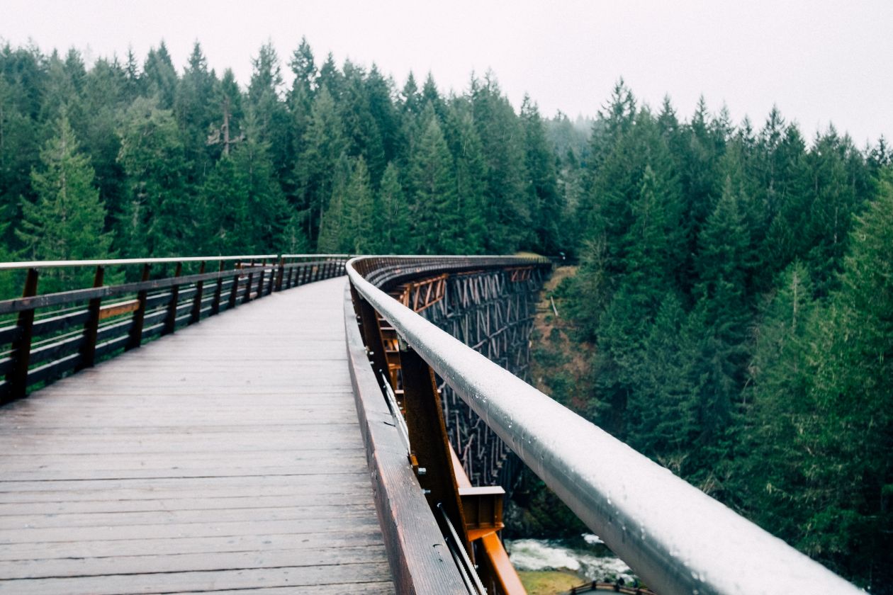 Free photo "Bridge to the Nature"