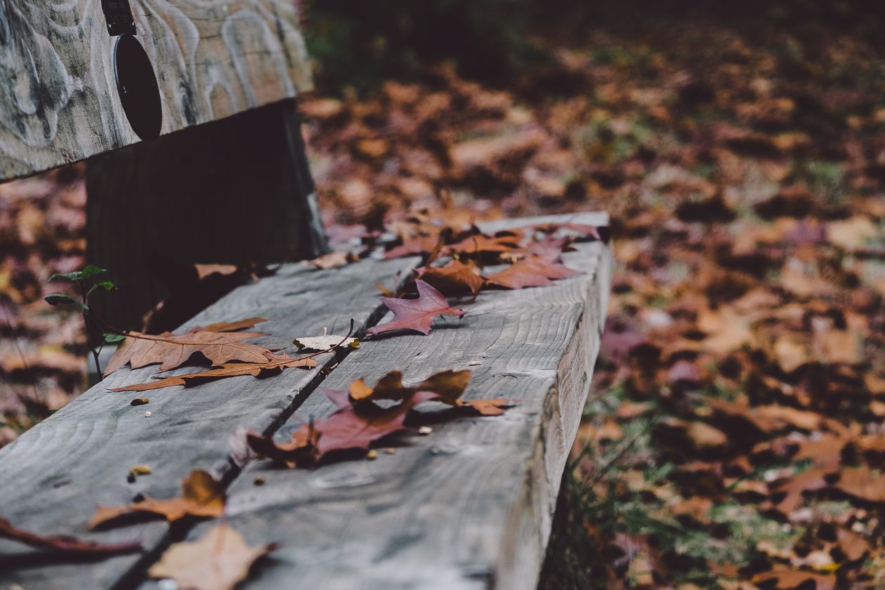 Free photo "Wood Bench"