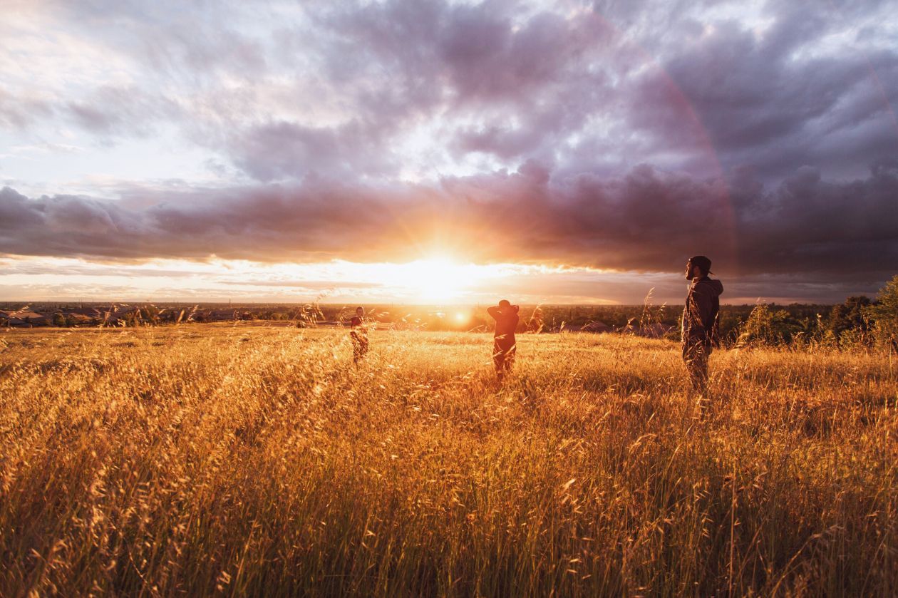 Free photo "Field"