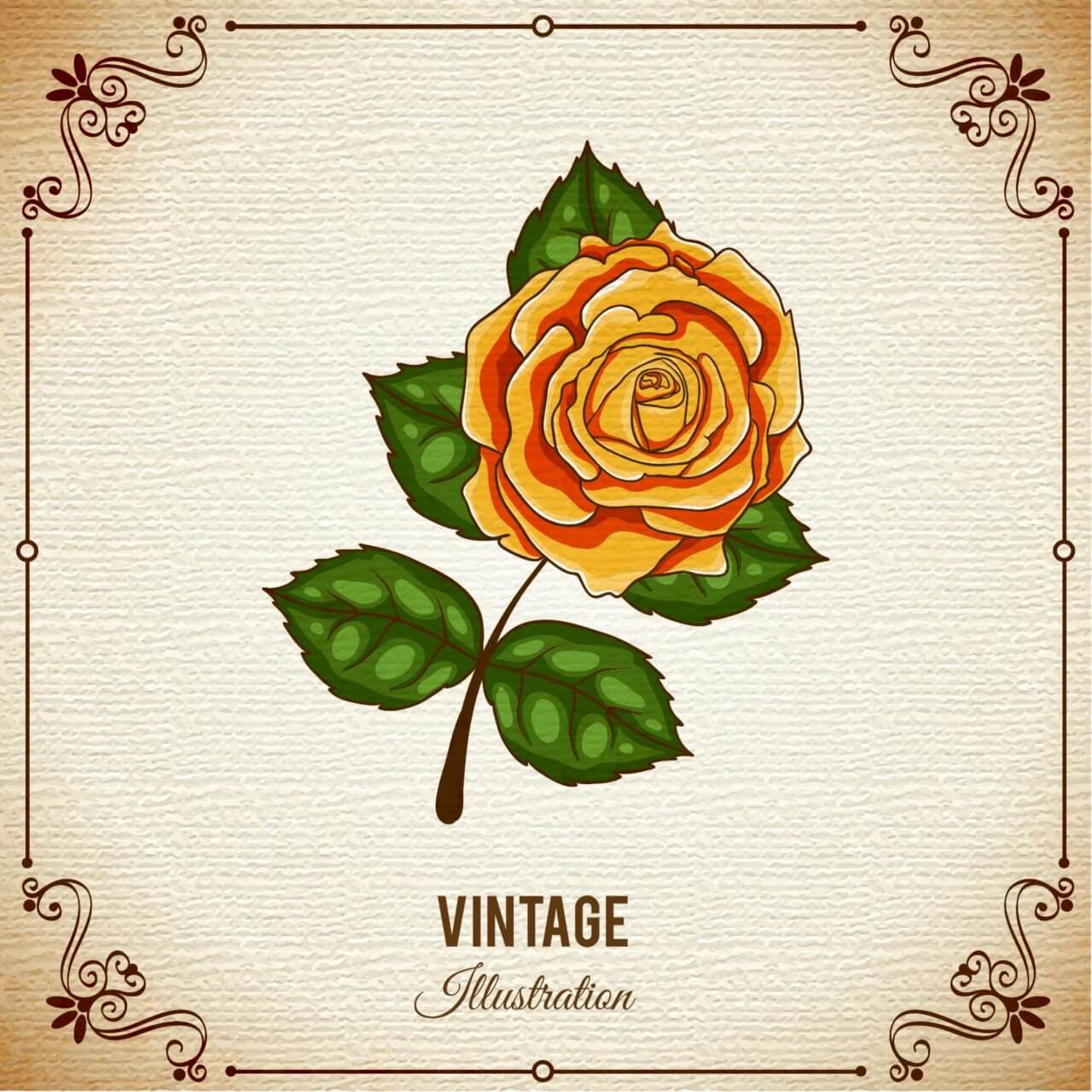Free vector "Vintage flower illustration with frame"
