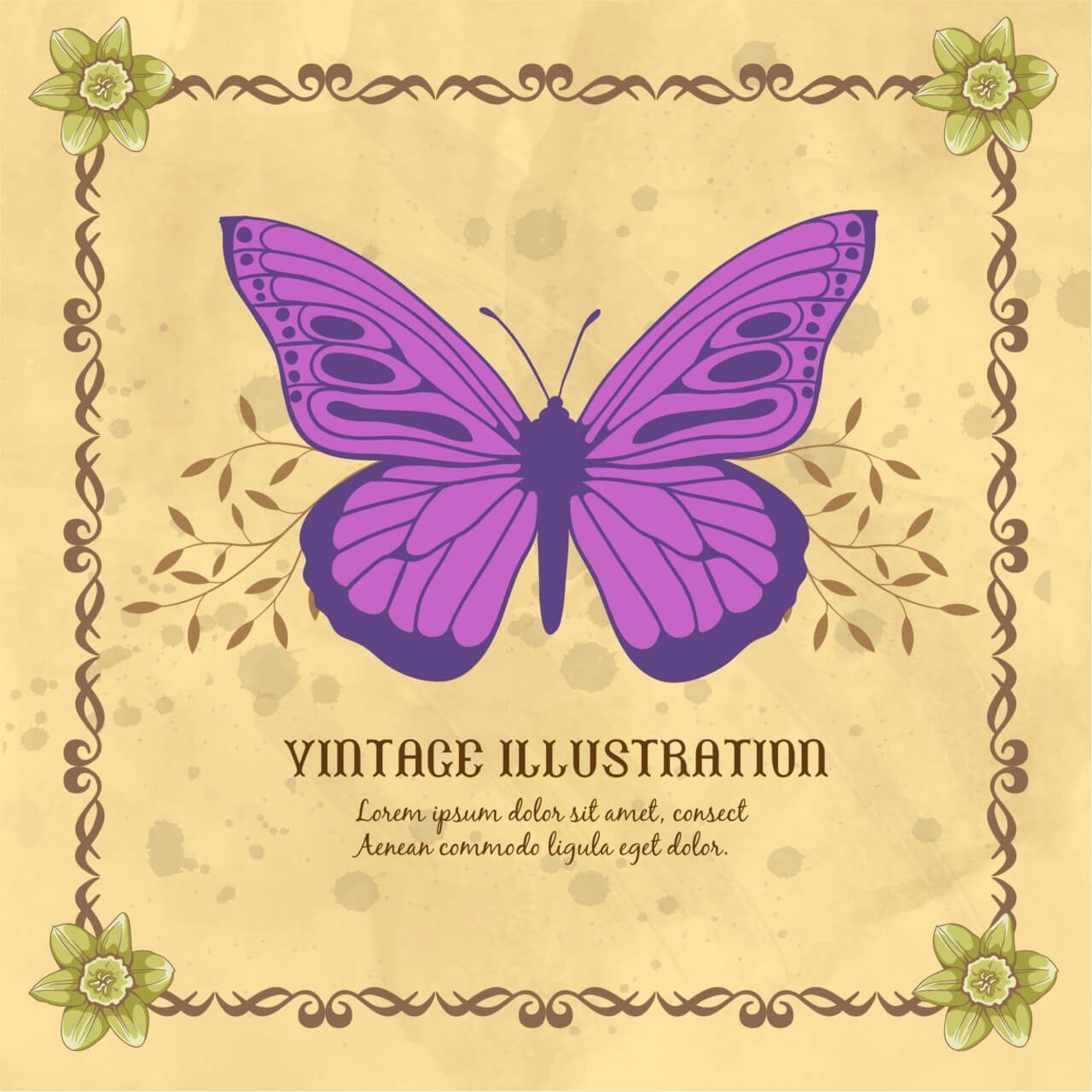 Free vector "Vintage frame with butterflies and typography"