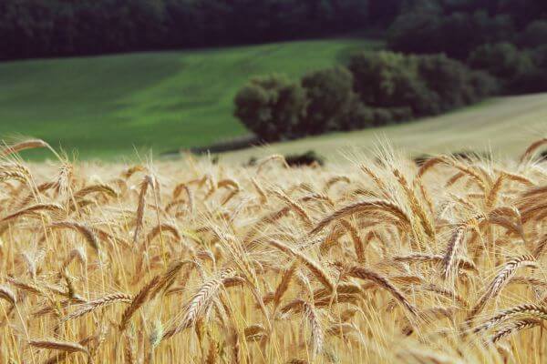 Landscape photo