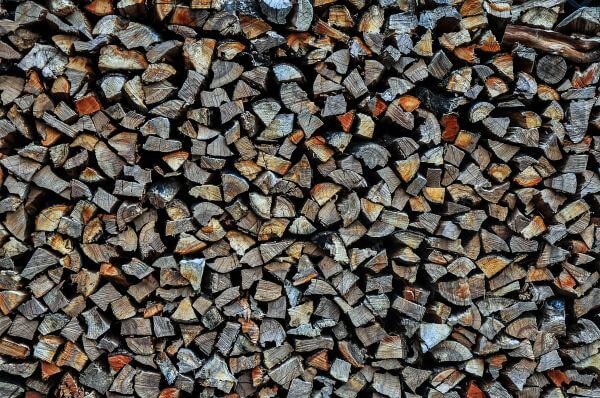 Wood Pile photo