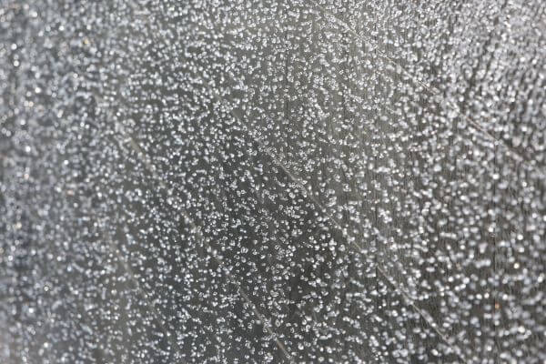 Drops photo
