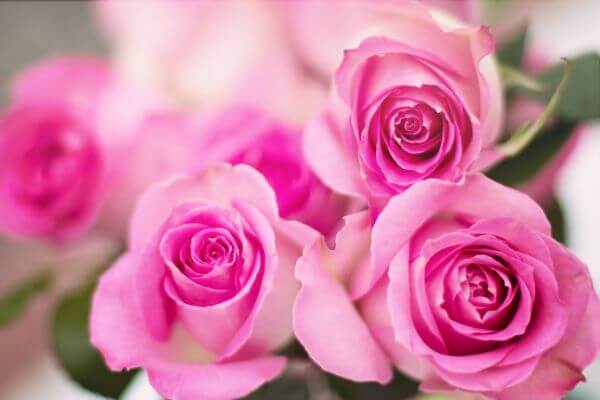 Beautiful photo