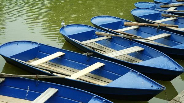 Rowing boats  water  blue video