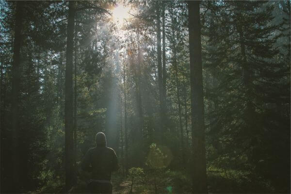 Photo by Dustin Scarpitti photo