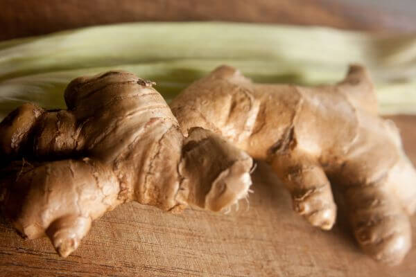 Free photo "Ginger" Free photo "Ginger"