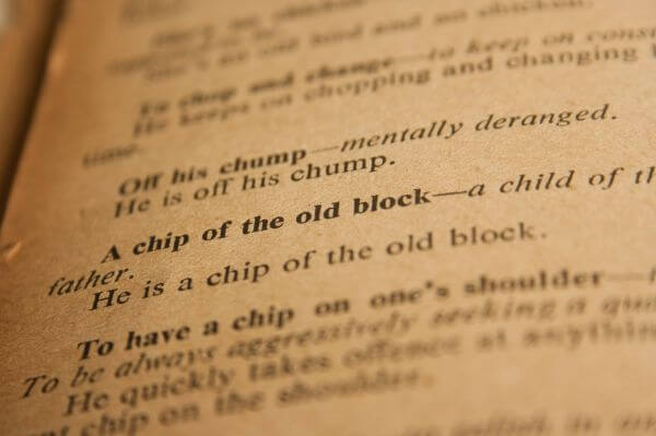 Chip Of Old Block photo