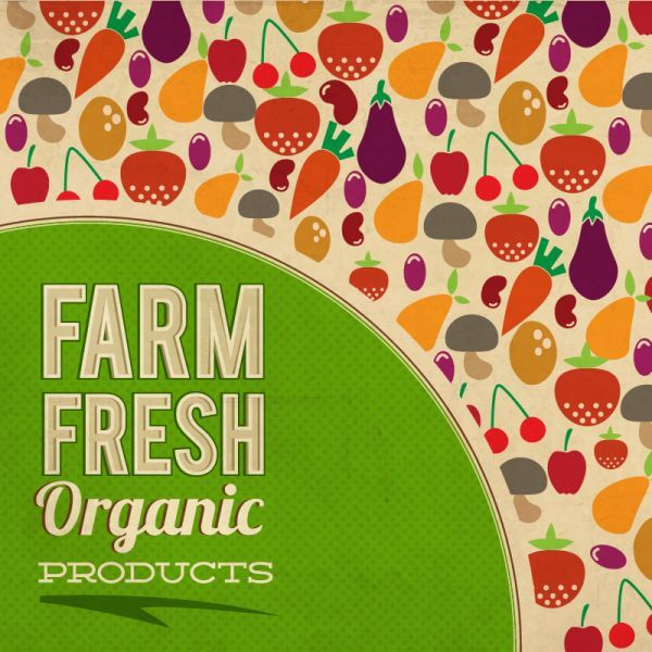 Fruits and vegetables illustration vector