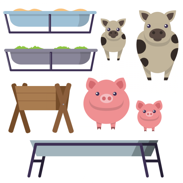 Feeding trough with cows and pigs vector