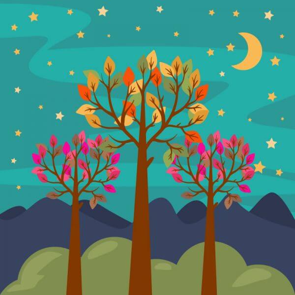 Night forest landscape vector